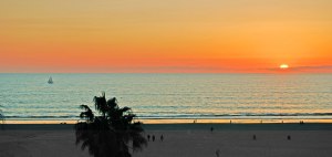 billboard_WLM_1920_02